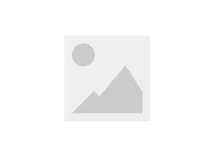 Environmental Management System Certification Certificate